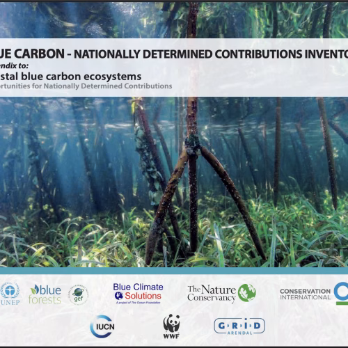 Blue Carbon-Nationally Determined Contributions Inventory: Coastal Blue Carbon Ecosystems
