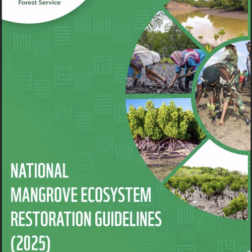 National Mangrove Ecosystem Restoration Guidelines (2025)